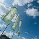 Фото компанії Greinplast