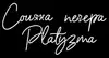 Логотип компанії Соляна печера "Platyzma"