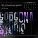 Фото компанії Digital агенство повного циклу "gorgona studio"