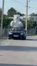 Фото компанії Білий ведмідь на свято