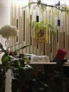 Фото компанії AVELIA FLOWERS