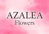 Логотип компанії Azalea flowers