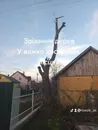 Фото компанії Очистка території, зрубка дерев