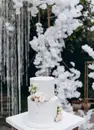 Фото компанії Deitycake