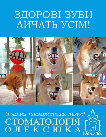 Фото компанії Стоматологія Олексюка
