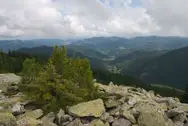 Фото компанії Туристично-інформаційний центр