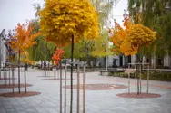 Фото компанії Гарантспецбуд ЛТД