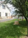 Фото компанії Дитячий клуб з повним робочим днем "BEE KIDS"