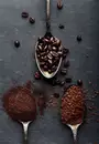 Фото компанії Family Coffee