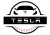 Логотип компанії Розбір автомобілів Tesla