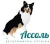 Логотип компанії Ветеринарна клініка "Ассоль"