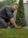 Фото компанії Green Space