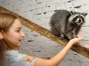 Фото компанії Wild and Mimimi
