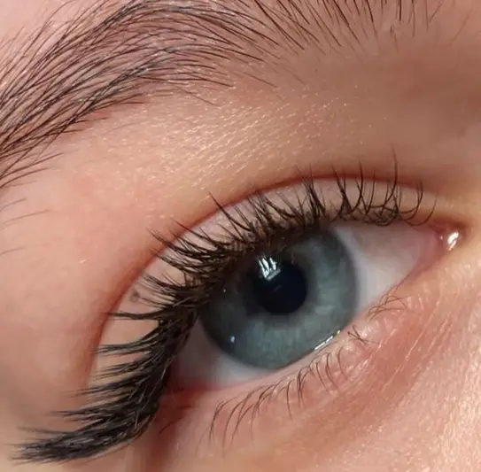 Фото компанії Lash brows lviv