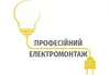 Логотип компанії Професійний електромонтаж