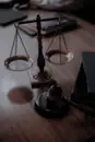 Фото компанії Адвокат "Міщук Ірина Володимирівна"