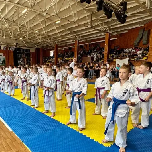 Фото компанії Івано-Франківська обласна федерація "Зендокай Карате-До"