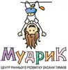 Фото компанії Центр раннього розвитку "Мудрик"