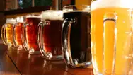 Фото компанії Garden beer