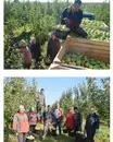 Фото компанії Виробник натурального соку "Енергія яблук"