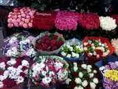 Фото компанії ТзОВ "Квіткова перлина"