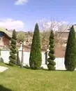Фото компанії Фігурна стрижка кущів, туй