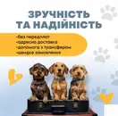 Фото компанії Перевезення тварин закордон