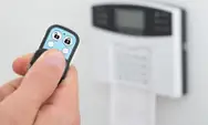 Фото компанії Videologic