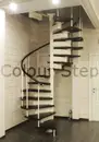 Фото компанії Компанія "Colour Step"