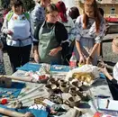 Фото компанії Чернівецький обласний центр науково-технічної творчості уч +