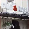 Логотип компанії Pub & Roll