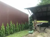 Фото компанії West Prof BUD