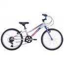 Фото компанії Cycle shop