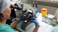 Фото компанії Науковий медично-діагностичний центр "Астар"