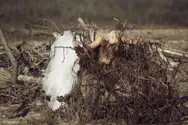 Фото компанії Студія "Good Luck"