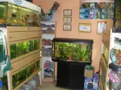 Фото компанії Зоомагазин "Ірбіс"