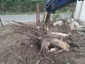 Фото компанії Послуги міні екскаватора зі змінним ковшем