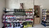 Фото компанії BB PETS "Groom & Store"