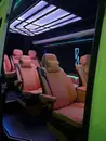 Фото компанії Перевізник "Malina _bus"