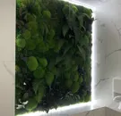 Фото компанії NATURIUM