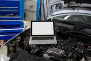 Фото компанії SAS