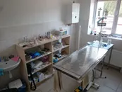 Фото компанії Ветеринарна клініка "Ultra Vet"