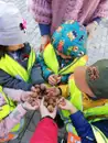 Фото компанії Міні садок "Мадагаскар"