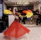 Фото компанії Тренер з східних танців "Шульга Маргарита"