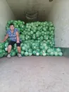 Фото компанії ПП "АГРОСЕРВІС"