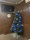 Фото компанії Кафе "Меркурій"