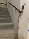 Фото компанії Сантехніка та Електрика