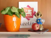 Фото компанії Центр іноземних мов "LeoLing"