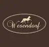Логотип компанії Кінно-спортивний клуб "Wesendorf"