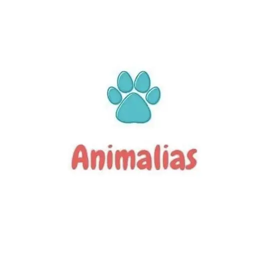 Фото компанії Зооготель "Animalias"